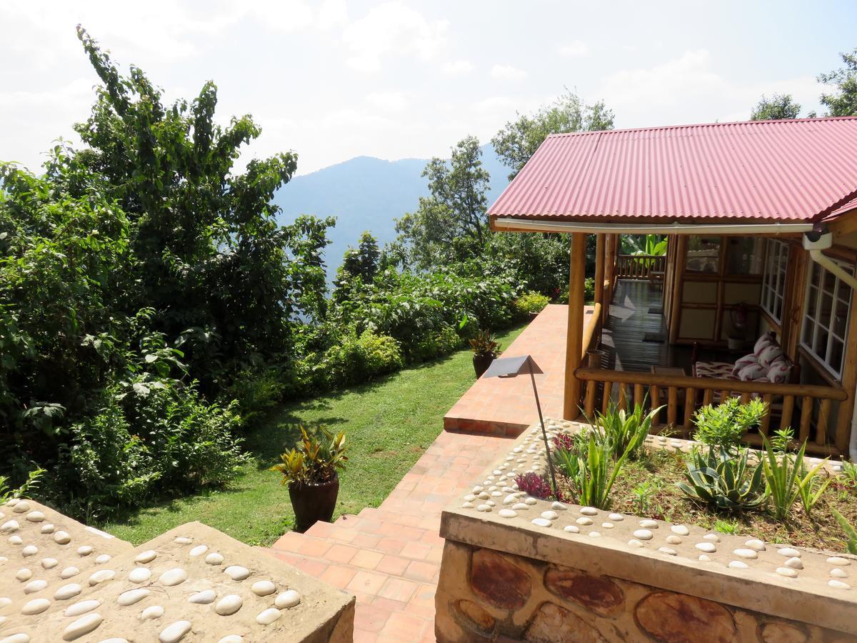 Nkuringo Bwindi Gorilla Lodge ภายนอก รูปภาพ