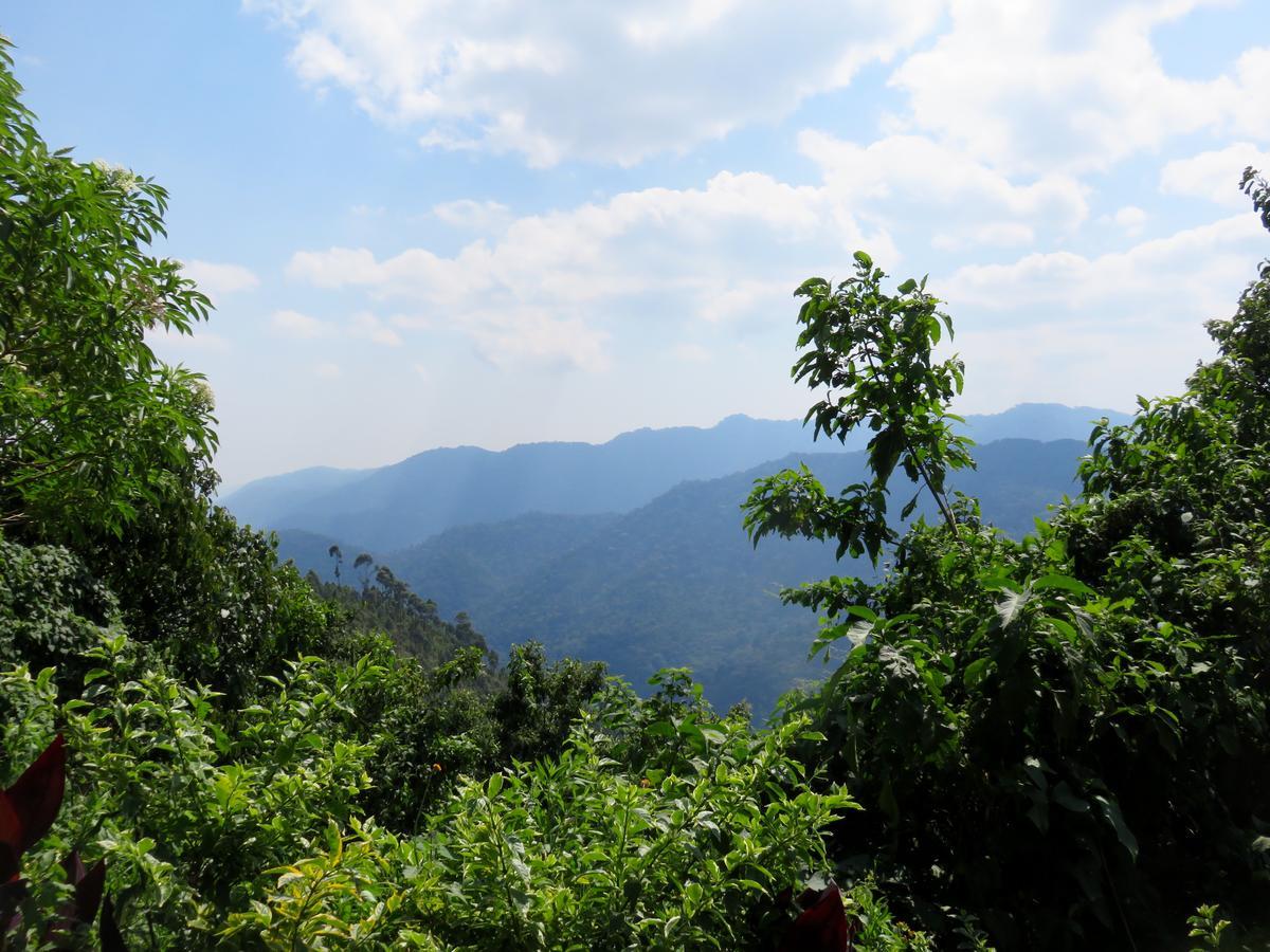 Nkuringo Bwindi Gorilla Lodge ภายนอก รูปภาพ