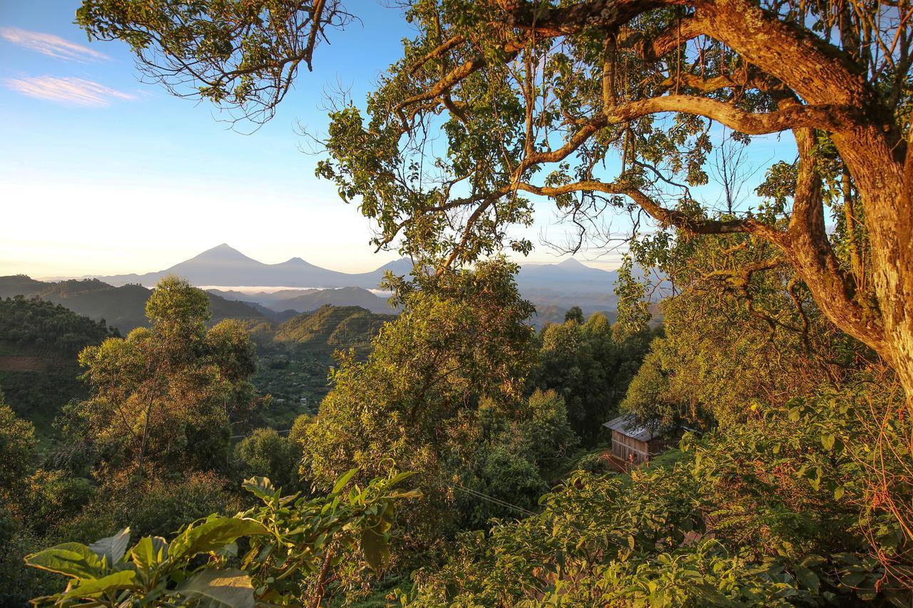 Nkuringo Bwindi Gorilla Lodge ภายนอก รูปภาพ